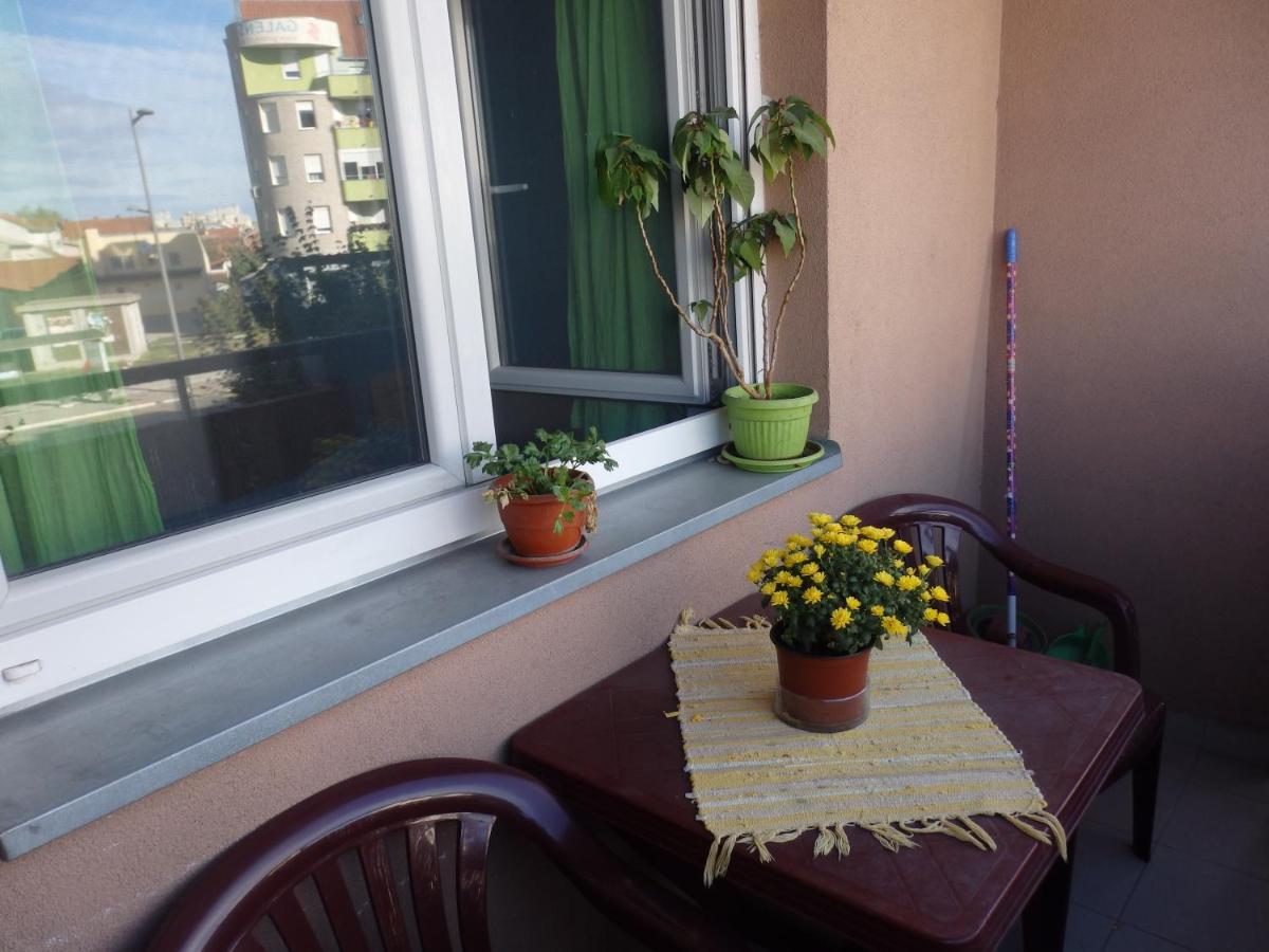 Apartment Erika 2 Нови Сад Екстериор снимка