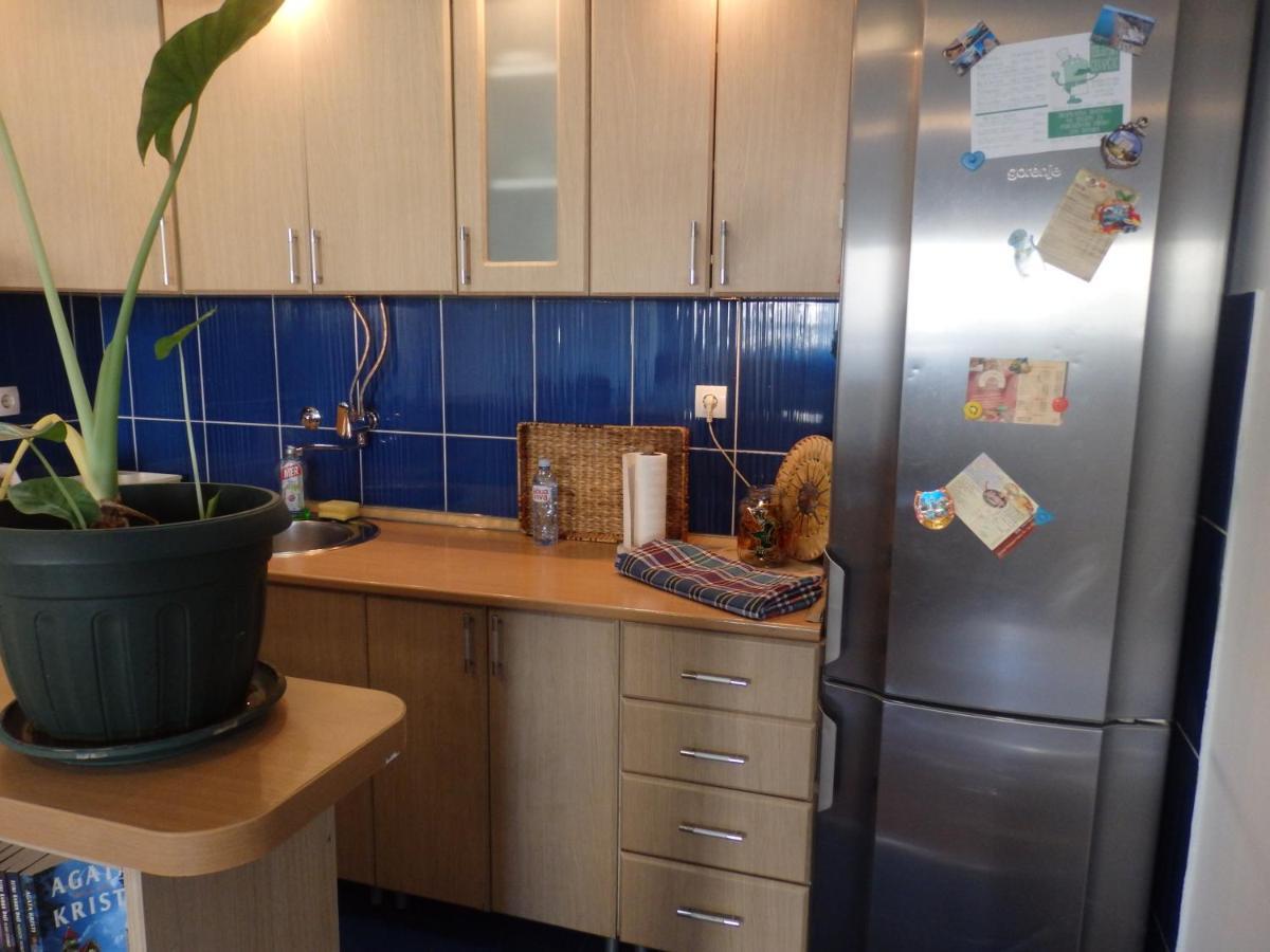 Apartment Erika 2 Нови Сад Екстериор снимка