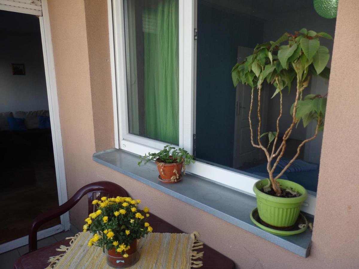 Apartment Erika 2 Нови Сад Екстериор снимка