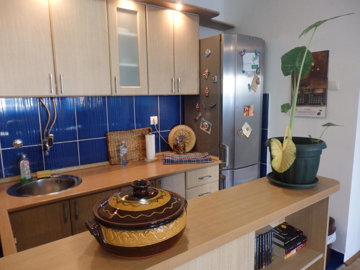 Apartment Erika 2 Нови Сад Екстериор снимка