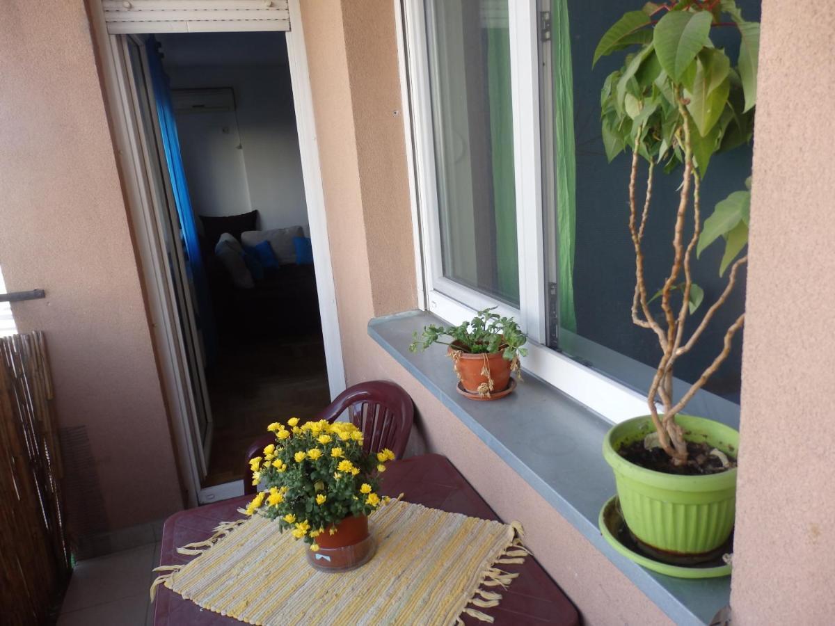 Apartment Erika 2 Нови Сад Екстериор снимка