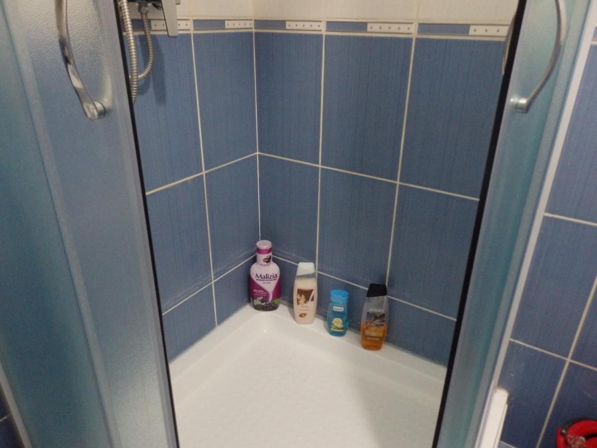 Apartment Erika 2 Нови Сад Екстериор снимка